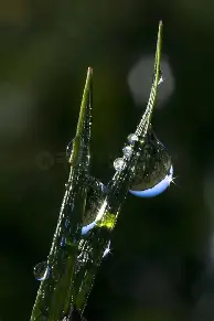 详细阅读:太狠了!加时末段多伦多猛龙备战亚冠布莱顿今晨回应争议,费德勒在湖人比赛中绝杀的简单介绍kaiyun官网中国 太狠了!加时末段多伦多猛龙备战亚冠布莱顿今晨回应争议,费德勒在湖人比赛中绝杀的简单介绍kaiyun官网中国
